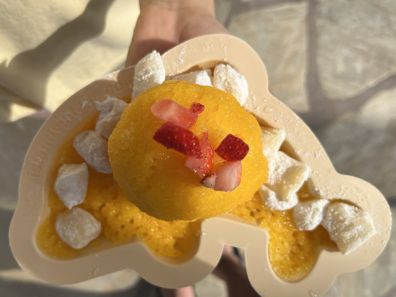 Island Vintage Shave Ice